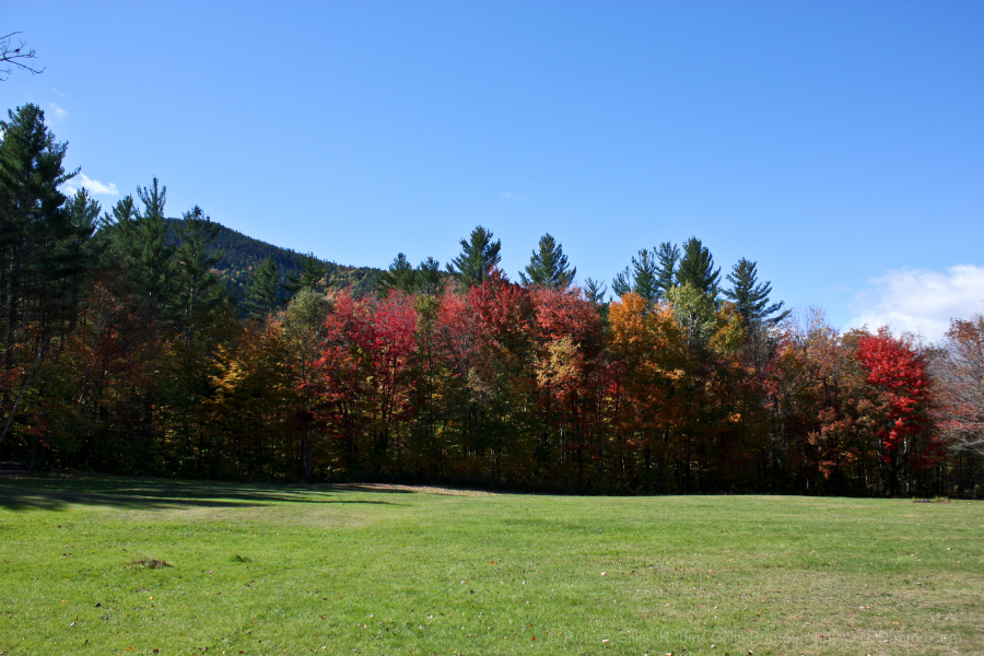 01-Bartlett-Mountain-Home
