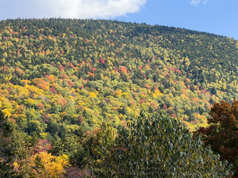 061-Bartlett-Scenic-Overlook-Bear-Notch