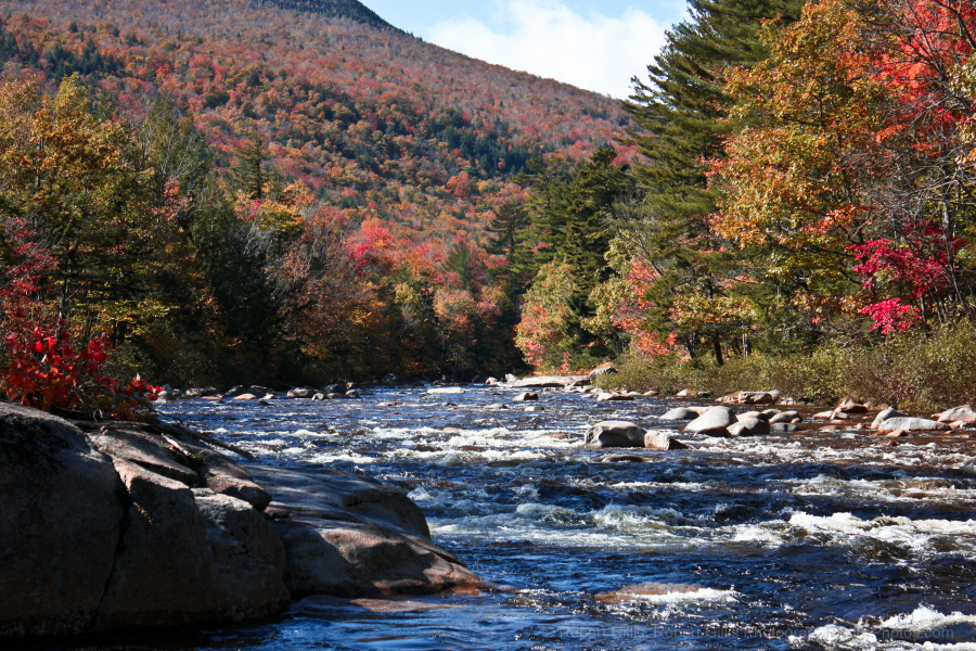 22-Bartlett-Ellis-River-in-Autumn