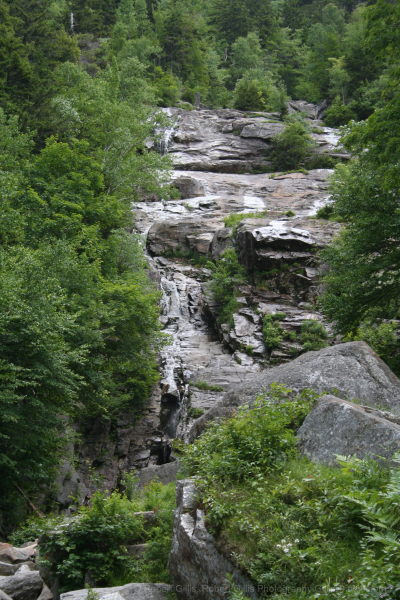 27-Bartlett-Silver-Cascade