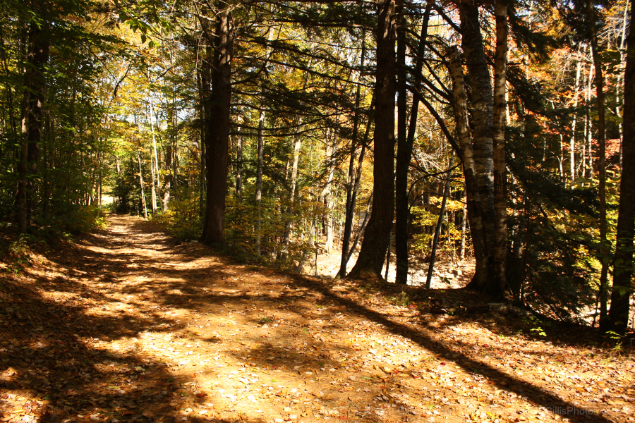 30-Bartlett-Mountain-Home-Path-in-Autumn