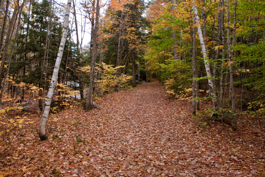 31-Bartlett-Mountain-Home-Summer-House-in-Autumn