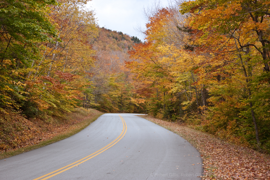 36-Bartlett-Bear-Notch-Road-Fall-Foliage