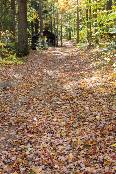 41-Bartlett-Mountain-Home-Leaves-in-Autumn