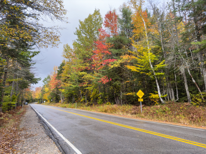 60-NH-Bartlett-Bear-Notch-Road-Fall-Foliage