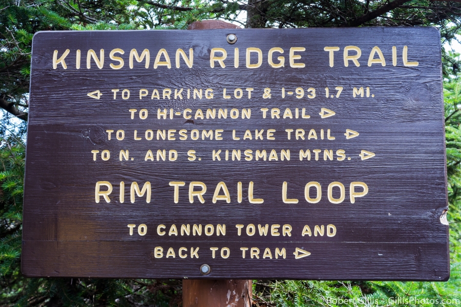 17-Franconia-Cannon-Mountain-Thing