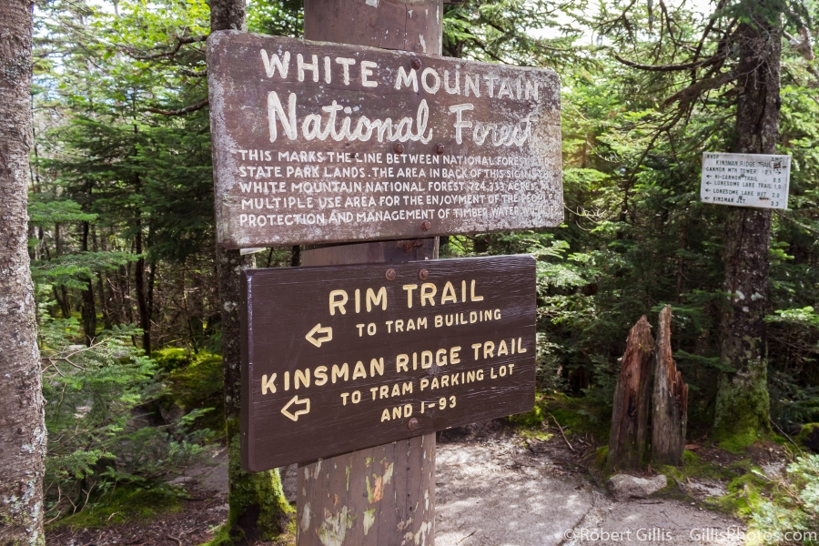 22-Franconia-Cannon-Mountain-Summit-Rim-trail