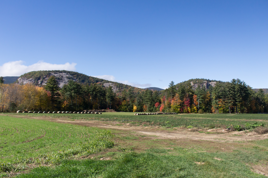 1_40-White-Horse-Ledge-and-Cathedral-Ledge-Autumn
