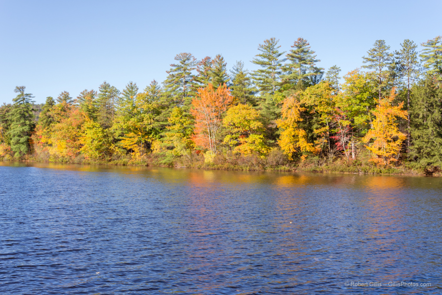 13-Conway-Lakeside-Foliage