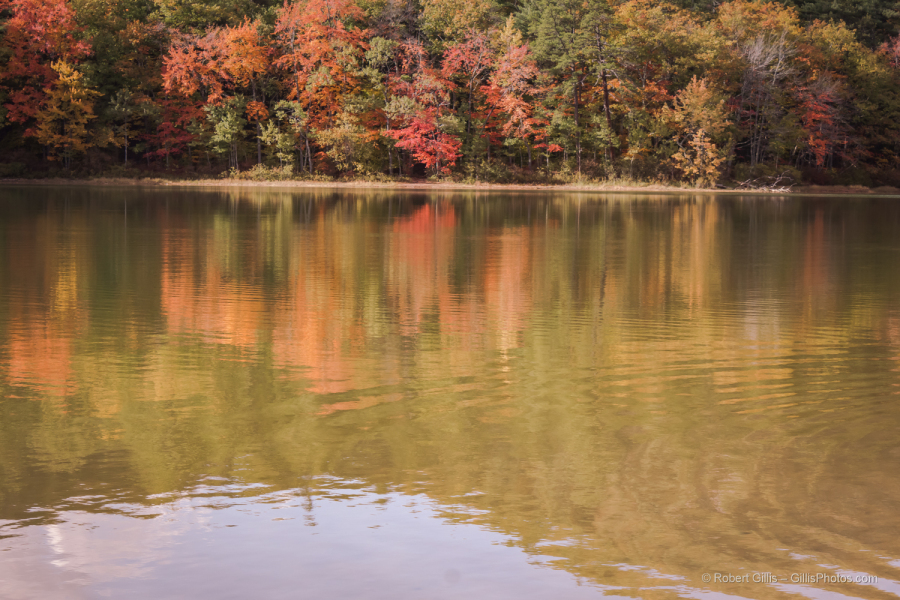 14-Conway-Lakeside-Foliage-Reflections
