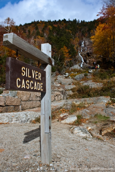 42 Crawford Notch - Silver Cacade