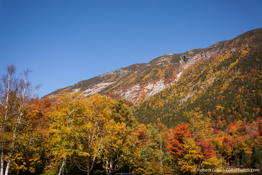 45 Crawford Notch - Mount Webster Autumn