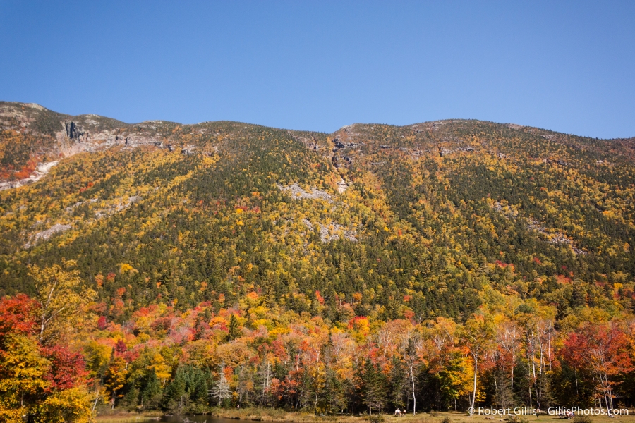46 Crawford Notch - Mount Webster Autumn
