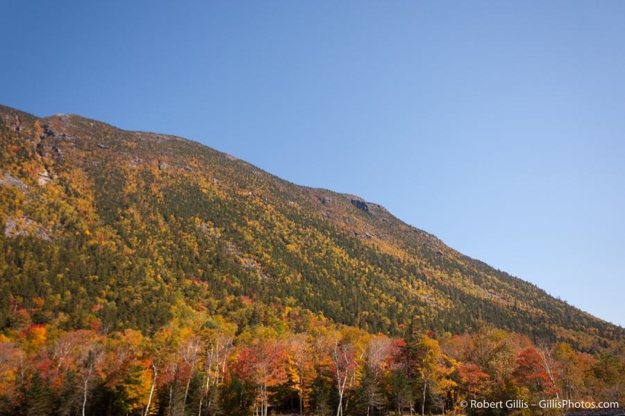 47 Crawford Notch - Mount Webster Autumn