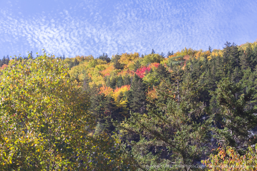 64-Crawford-Notch-Autumn-Colors-near-Crawford-Notch-Flume-Cascade
