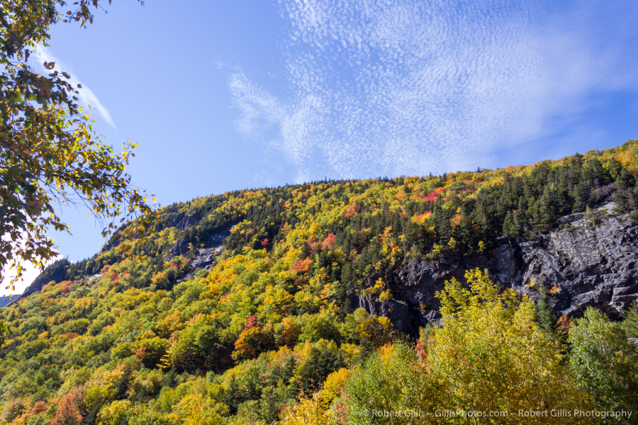 65-Crawford-Notch-Autumn-Colors-near-Crawford-Notch-Flume-Cascade