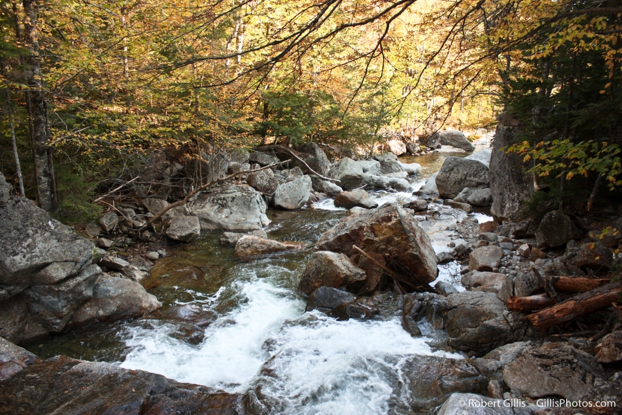 07 Glen Ellis Falls River
