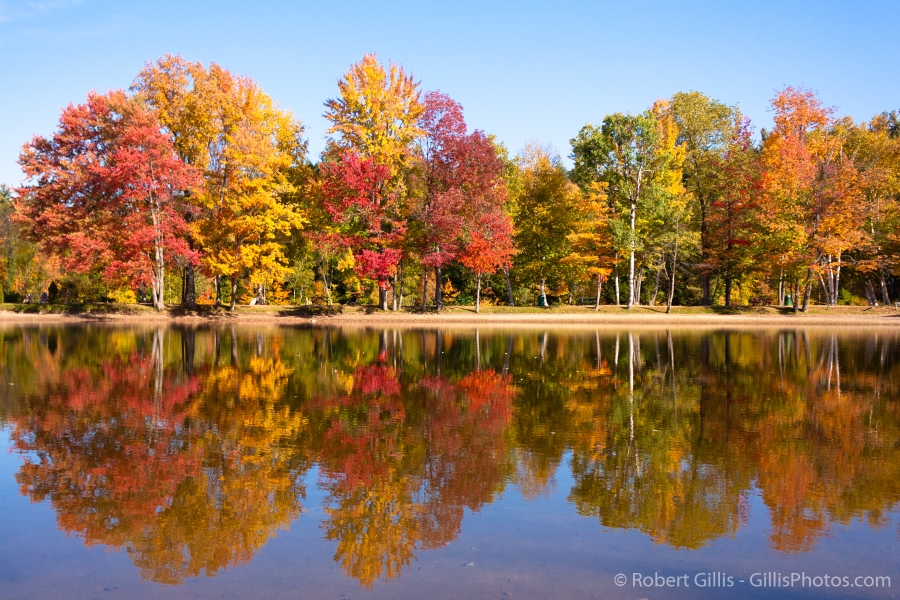 01-Gorham-Libby-Park-Autumn