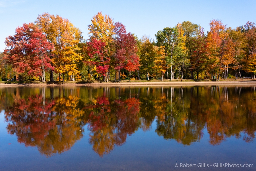 03-Gorham-Libby-Park-Autumn