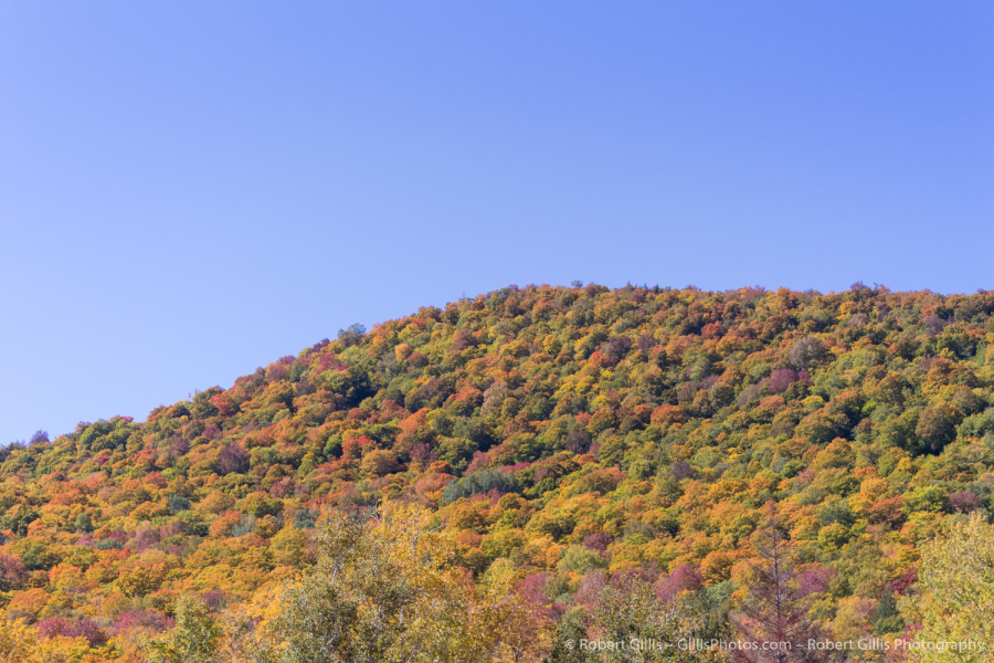 10-Gorham-Gorham-Near-Pinkham-Notch-with-Autumn-Colors