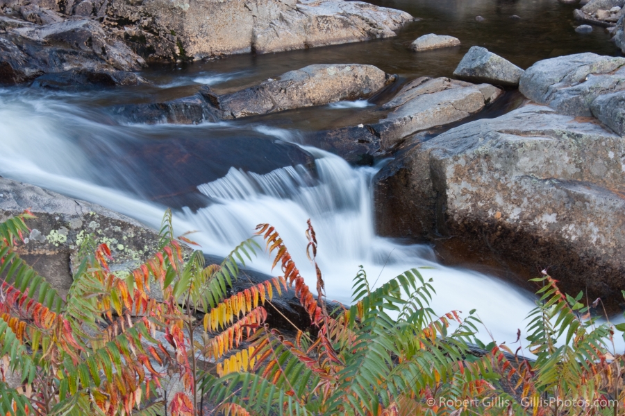 09-Jackson-Jackson-Falls