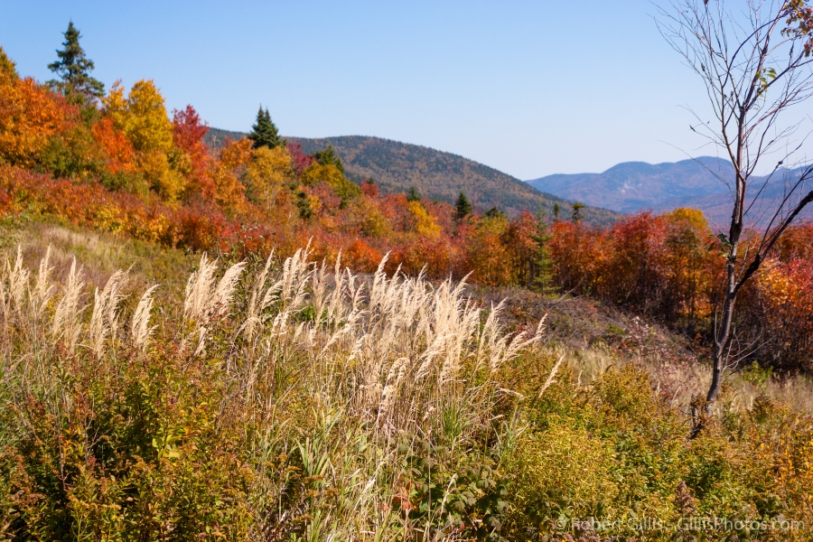 25-Kancamagus-Autumn