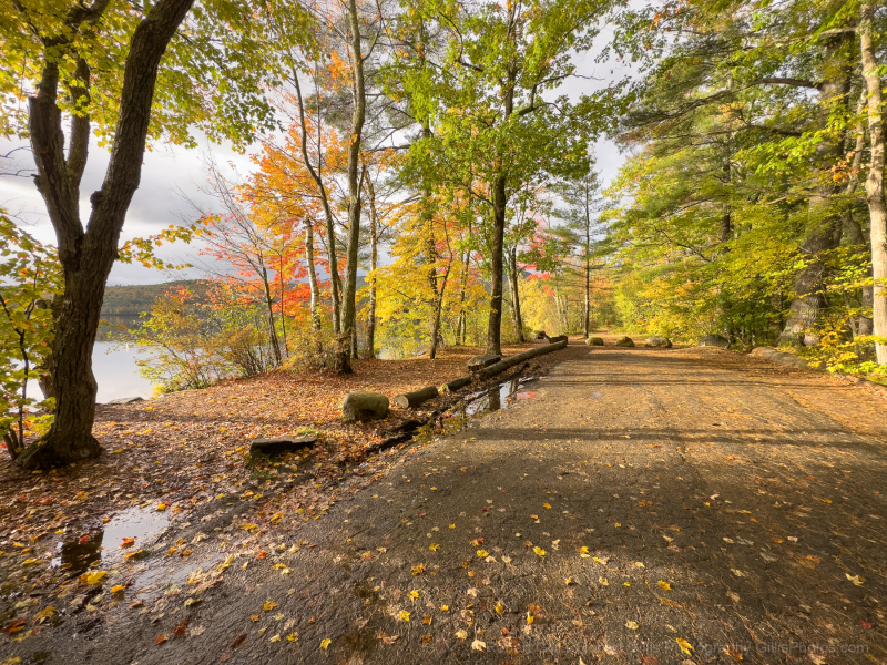 26-Chocorua-Autumn 26-Chocorua-Autumn