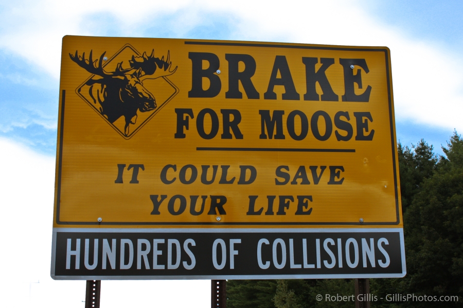 014-North-Conway-Landmarks-Brake-for-Moose