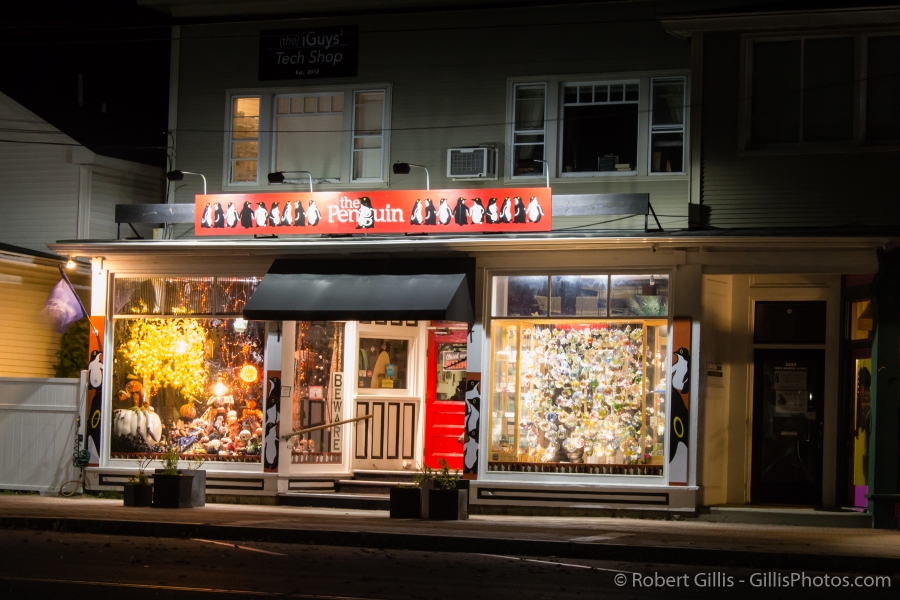 038-North-Conway-Landmarks-Penguin-Shop
