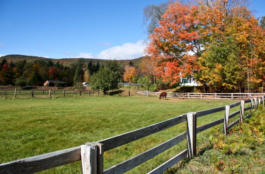 02-North-Conway-Horse-Grazing-on-West-Side-Road-In-Autumn