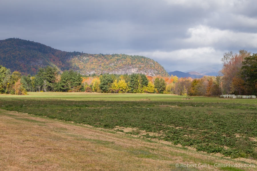 04-West-Side-Road-White-Horse-Ledge-In-Autumn