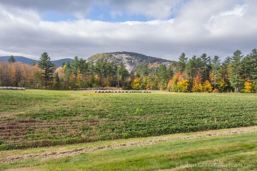 05-West-Side-Road-White-Horse-Ledge-In-Autumn