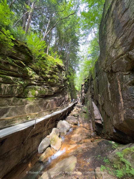 620-Franconia-The-Flume-Gorge 620-Franconia-The-Flume-Gorge
