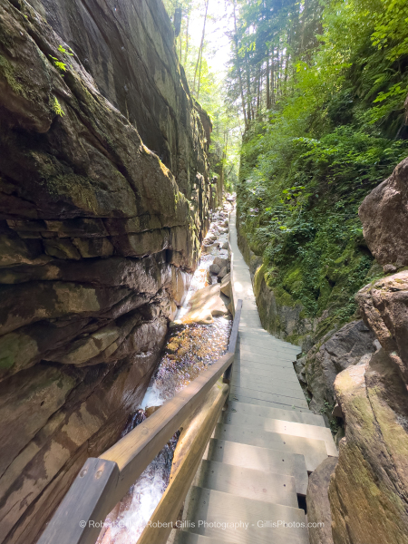 621-Franconia-The-Flume-Gorge 621-Franconia-The-Flume-Gorge