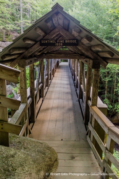 1001 Franconia - The Flume - Sentinal Pine Bridge 1001 Franconia - The Flume - Sentinal Pine Bridge