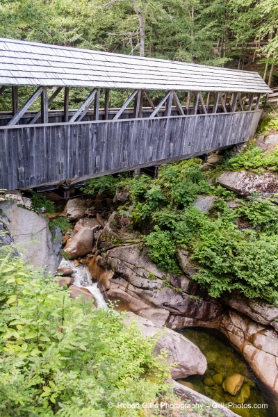 1003 Franconia - The Flume - Sentinal Pine Bridge 1003 Franconia - The Flume - Sentinal Pine Bridge