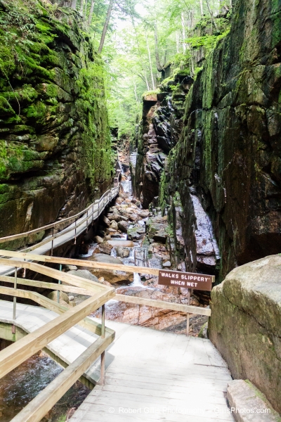 610 Franconia - The Flume Gorge 610 Franconia - The Flume Gorge