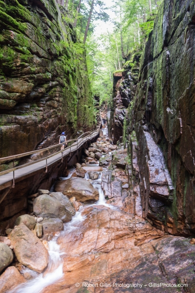 613 Franconia - The Flume Gorge 613 Franconia - The Flume Gorge