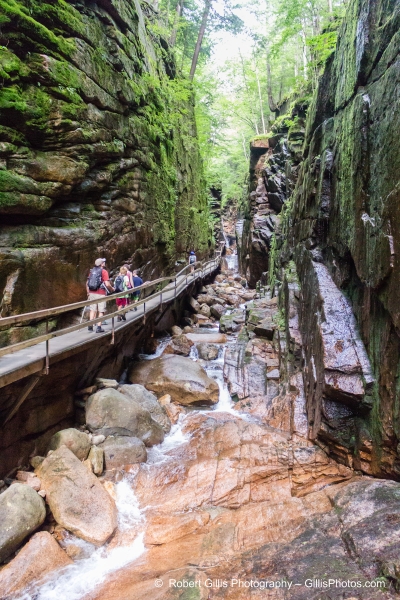 614 Franconia - The Flume Gorge 614 Franconia - The Flume Gorge