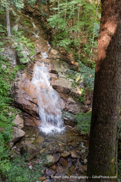 803 Franconia - The Flume - Liberty Gorge 803 Franconia - The Flume - Liberty Gorge
