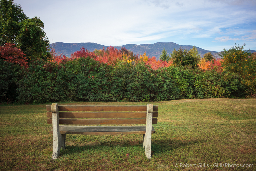 03-North-Conway-Foliage-and-Bench