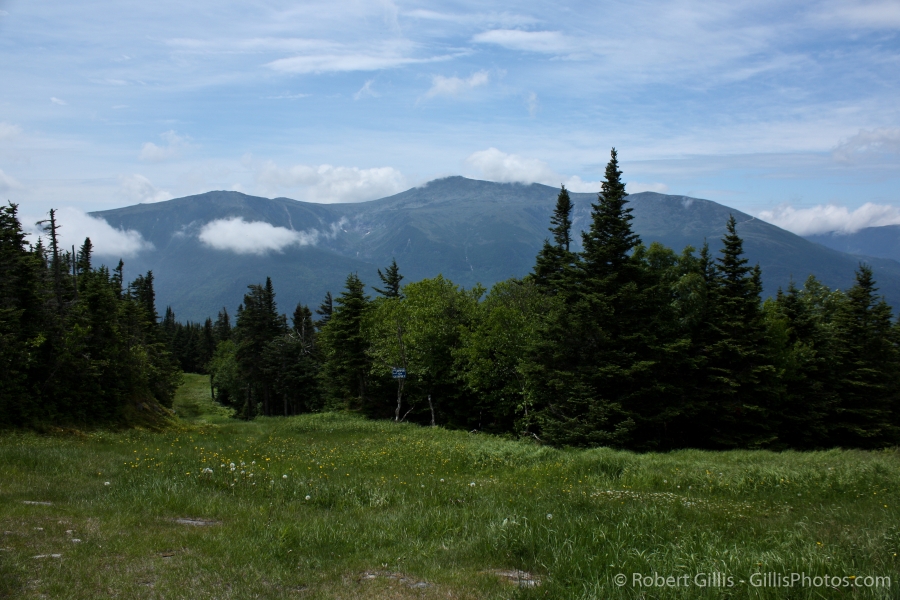 03-Wildcat-Mountain-Summit-View
