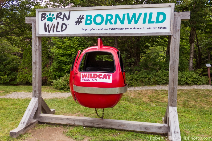 15-Wildcat-Mountain-Base-Retired-tram-Car