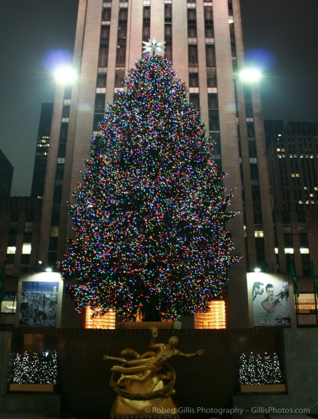 12 NY Xmas - Rockefeller Christmas Tree