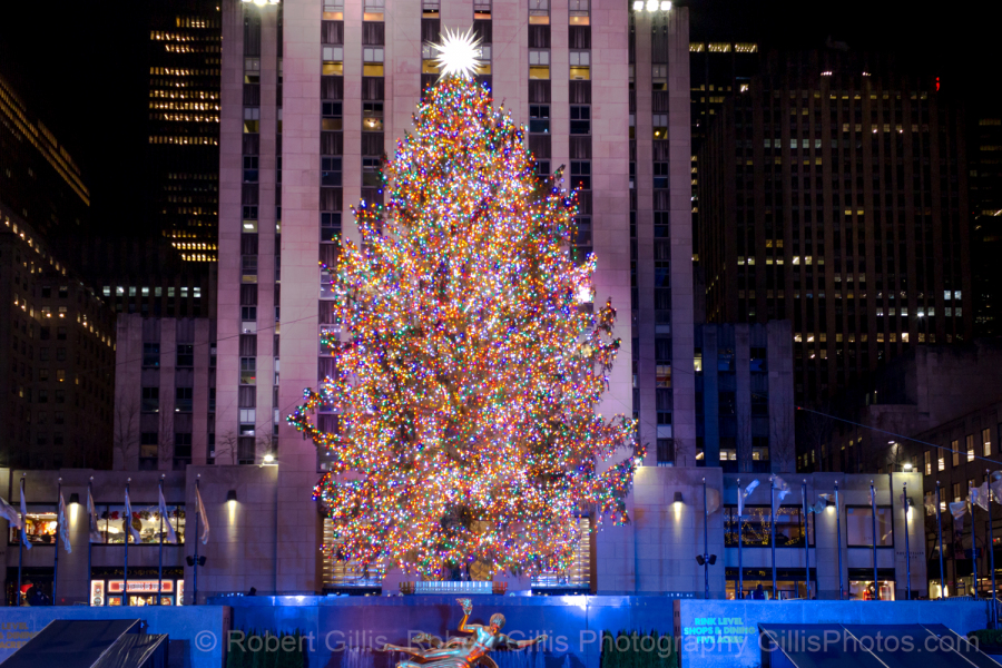 17-New-York-Christmas-Rockefeller-Christmas-Tree