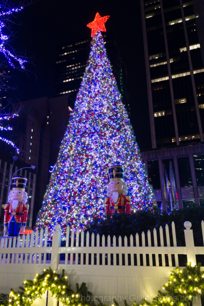 19-New-York-Christmas-Fox-Christmas-Tree-Avenue-of-Americas