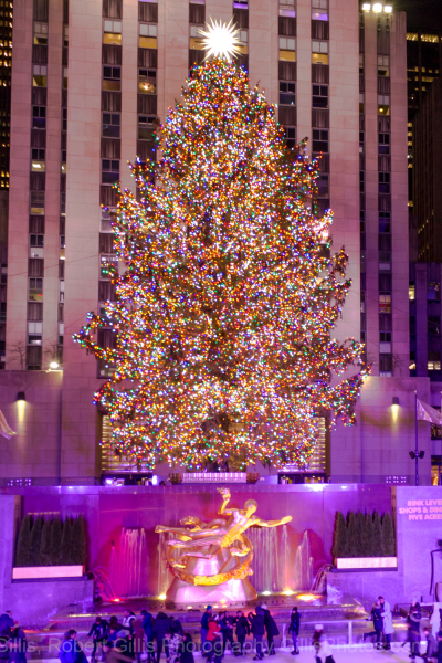 21-New-York-Christmas-Rockefeller-Center-Christmas-Tree