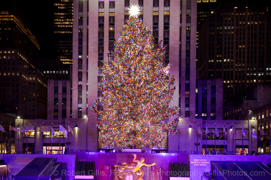 22-New-York-Christmas-Rockefeller-Center-Christmas-Tree