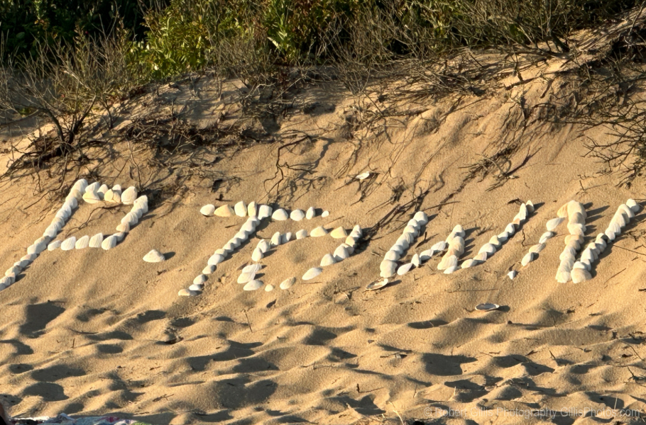 129 Provincetown - Herring  Cove P-Town Sea Shells