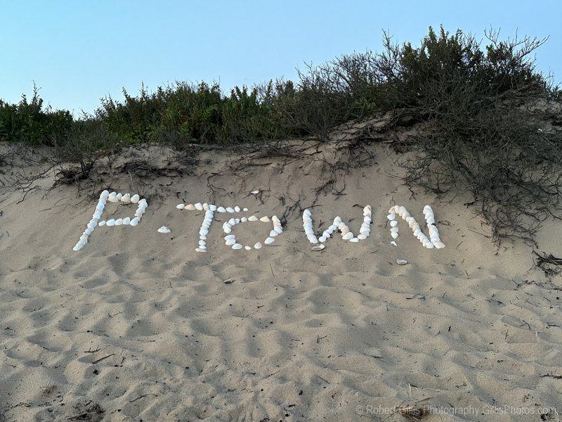 130-Provincetown Herring -Cove-P-Town-Sea-Shells